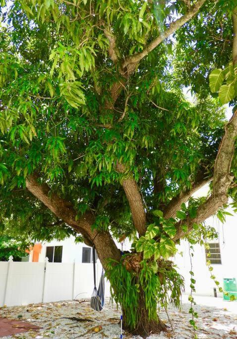 Comfy & Updated Apartment Centrally Located Minutes Away From Everything! Miami Exterior photo
